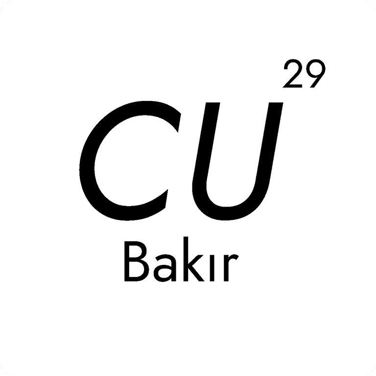 BAKIR-TR_1@4x